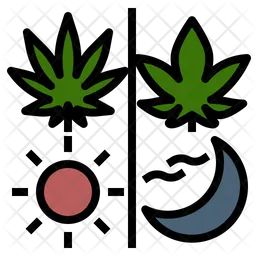 Cannabis Usage  Icon