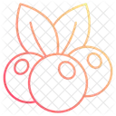 Canneberge  Icon