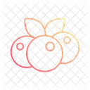 Canneberges Icon
