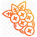 Canneberges Icon