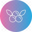 Canneberges Fruits Baies Icon