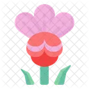 Cannonball Flower Icon