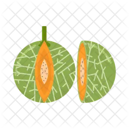 Cantaloupe  Icon