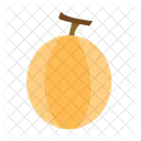 Cantaloupe Papaya Fruit Icon