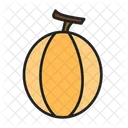 Cantaloupe Papaya Fruit Icon