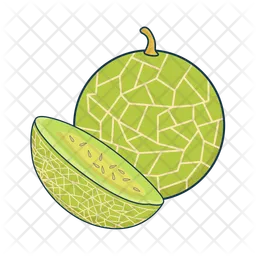 Cantaloupe  Icon