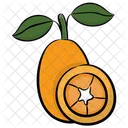 Cantaloupe Honey Dew Fruit Icon