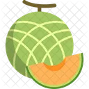 Cantaloupe Fruit Healthy Icon