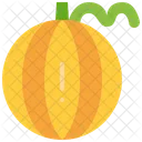 Cantaloupe Melon Fruit Icon
