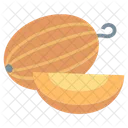 Cantaloupe Fruit Food Icon