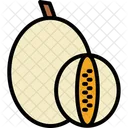 Cantaloupe Icon