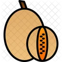 Cantaloupe Honey Honeydew Icon