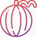 Cantaloupe  Icon