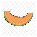 Cantaloupe Icon