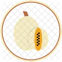Cantalupo  Icon