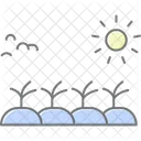 Canteiro De Vegetais Ao Sol Vegetal Cama Icon