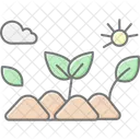 Canteiro Organico De Quintal Quintal Organico Icon