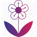 Canterbury Flower English Bloom Garden Flower Icon