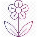 Canterbury Flower English Bloom Garden Flower Icon