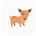 Cachorro Animal De Estimacao Animal Icon