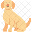 Cachorro Animais Reino Animal Ícone