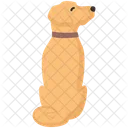 Localizacao De Cachorro Animal De Estimacao Animal Icon