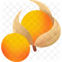 Cape gooseberry  Icon