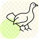 Capercaillie Bird Grouse Icon