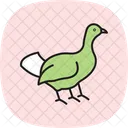 Capercaillie Bird Grouse Icon