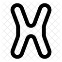 Capital X Letter Typography X Loading X 아이콘