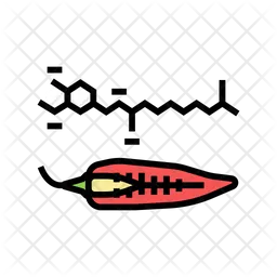 Capsaicin Chili Pepper  Icon