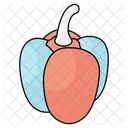 Capsicum Bell Pepper Vegetable Icon