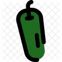 Capsicum  Icon