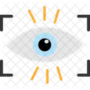 Capture  Icon