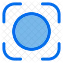 Capture  Icon