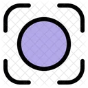 Capture  Icon
