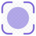 Capture  Icon