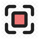 Capture  Icon