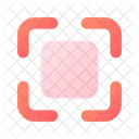Capture  Icon