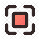 Capture  Icon