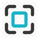 Capture  Icon