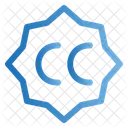 Capture Resolution  Icon