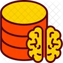 Captures Collection Data Icon
