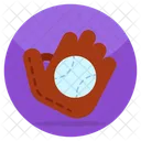 Capturing Catch  Icon