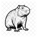 Capybara Icon