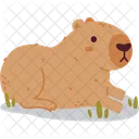 Capybara Rodent Animal Icon