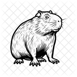 Capybara  Icon
