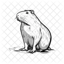 Capybara Icon