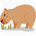 Capybara Rodent Animal Icon