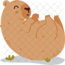 Capybara Animal Cute Icon